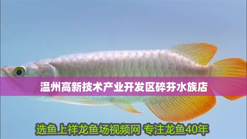 溫州高新技術產業開發區碎芬水族店