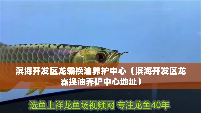 濱海開發區龍霸換油養護中心（濱海開發區龍霸換油養護中心地址） 濱海開發區龍霸換油養護中心（濱海開發區龍霸換油養護中心地址） 全國水族館企業名錄 第4張