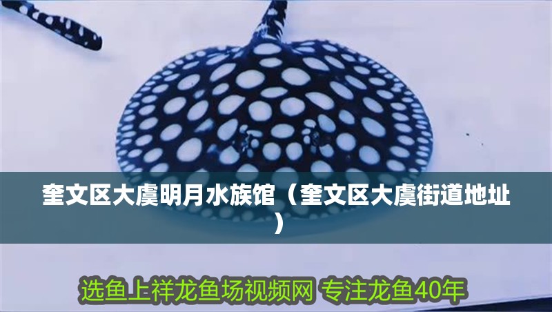 奎文區大虞明月水族館（奎文區大虞街道地址）