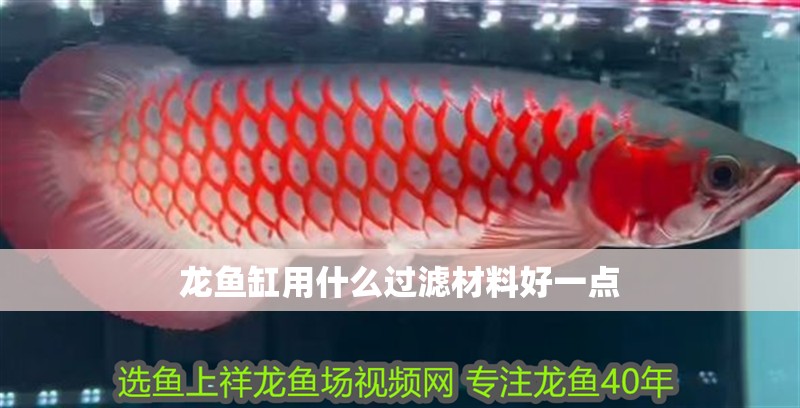 龍魚(yú)缸用什么過(guò)濾材料好一點(diǎn) 龍魚(yú)百科 第2張 龍魚(yú)缸用什么過(guò)濾材料好一點(diǎn) 龍魚(yú)缸用什么過(guò)濾材料好一點(diǎn) 龍魚(yú)百科 第2張