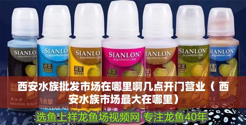 西安水族批發市場在哪里啊幾點開門營業( 西安水族市場最大在哪里) 豬鼻龜百科 第1張 西安水族批發市場在哪里啊幾點開門營業( 西安水族市場最大在哪里) 西安水族批發市場在哪里啊幾點開門營業( 西安水族市場最大在哪里) 豬鼻龜百科 第1張