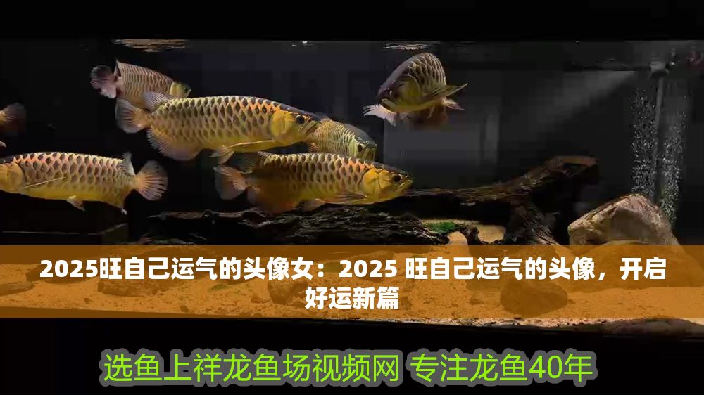 2025旺自己運氣的頭像女：2025 旺自己運氣的頭像，開啟好運新篇
