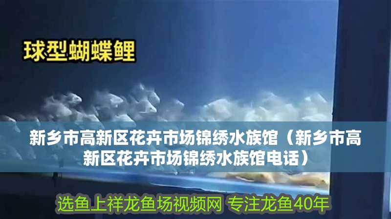 新鄉市高新區花卉市場錦繡水族館（新鄉市高新區花卉市場錦繡水族館電話）