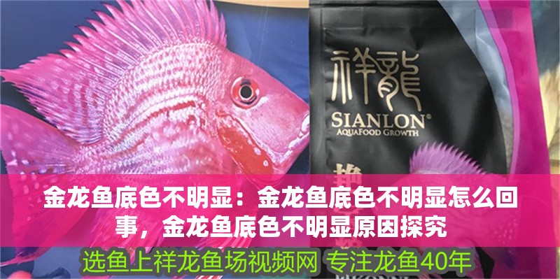 金龍魚底色不明顯:金龍魚底色不明顯怎么回事,金龍魚底色不明顯原因探究 水族問答 金龍魚底色不明顯:金龍魚底色不明顯怎么回事,金龍魚底色不明顯原因探究 金龍魚底色不明顯:金龍魚底色不明顯怎么回事,金龍魚底色不明顯原因探究 水族問答