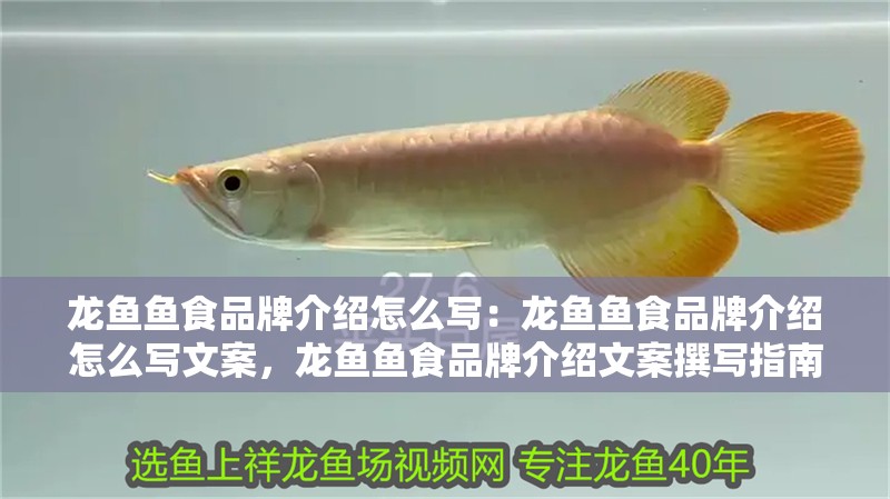 龍魚魚食品牌介紹怎么寫：龍魚魚食品牌介紹怎么寫文案，龍魚魚食品牌介紹文案撰寫指南