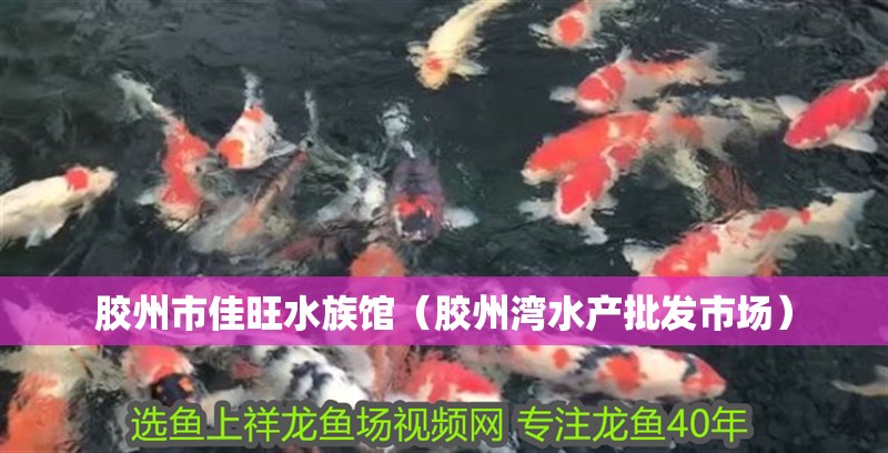 膠州市佳旺水族館（膠州灣水產(chǎn)批發(fā)市場(chǎng)）