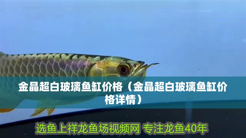 金晶超白玻璃魚缸價格（金晶超白玻璃魚缸價格詳情） 金晶超白玻璃魚缸價格（金晶超白玻璃魚缸價格詳情） 魚缸百科