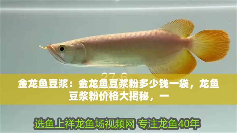 金龍魚豆漿：金龍魚豆漿粉多少錢一袋，龍魚豆漿粉價格大揭秘，一 金龍魚豆漿：金龍魚豆漿粉多少錢一袋，龍魚豆漿粉價格大揭秘，一 水族問答