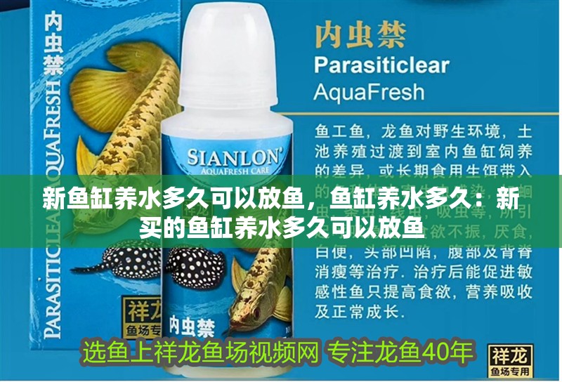 新魚缸養(yǎng)水多久可以放魚，魚缸養(yǎng)水多久：新買的魚缸養(yǎng)水多久可以放魚