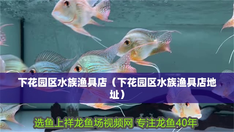 下花園區(qū)水族漁具店（下花園區(qū)水族漁具店地址）