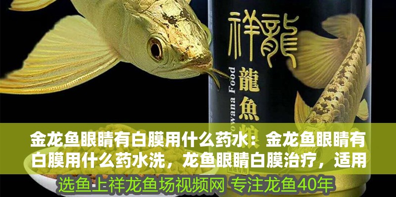 金龍魚眼睛有白膜用什么藥水：金龍魚眼睛有白膜用什么藥水洗，龍魚眼睛白膜治療，適用藥水及清洗方法詳解