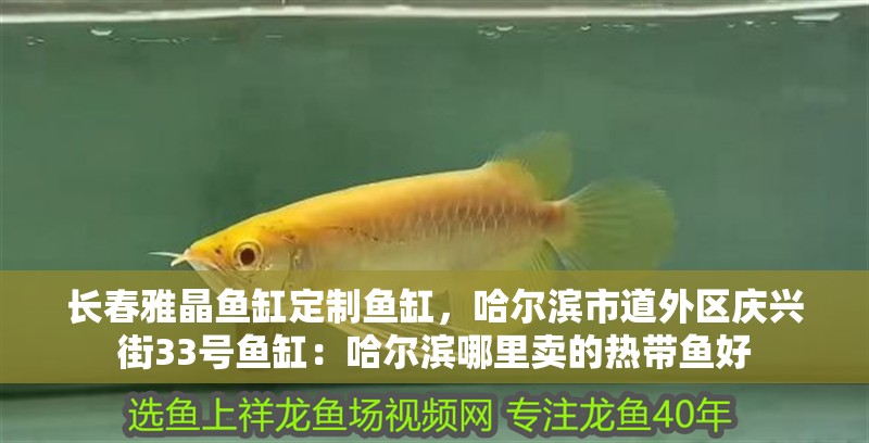 長(zhǎng)春雅晶魚缸定制魚缸，哈爾濱市道外區(qū)慶興街33號(hào)魚缸：哈爾濱哪里賣的熱帶魚好