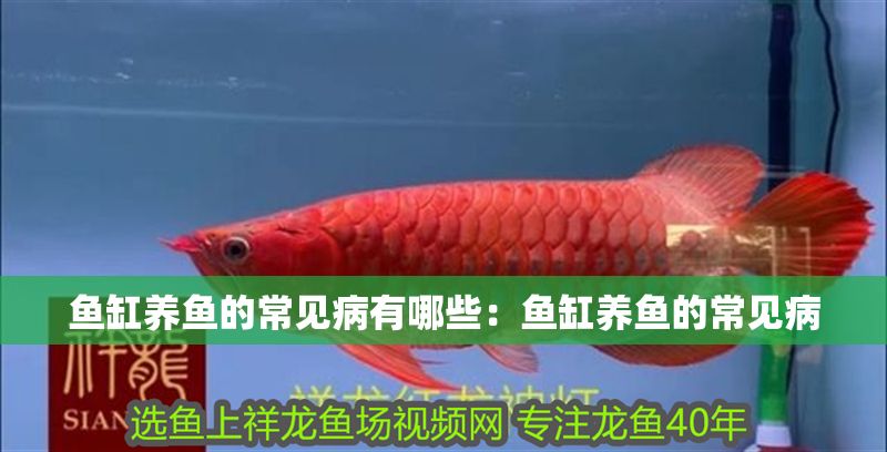 魚缸養(yǎng)魚的常見病有哪些：魚缸養(yǎng)魚的常見病