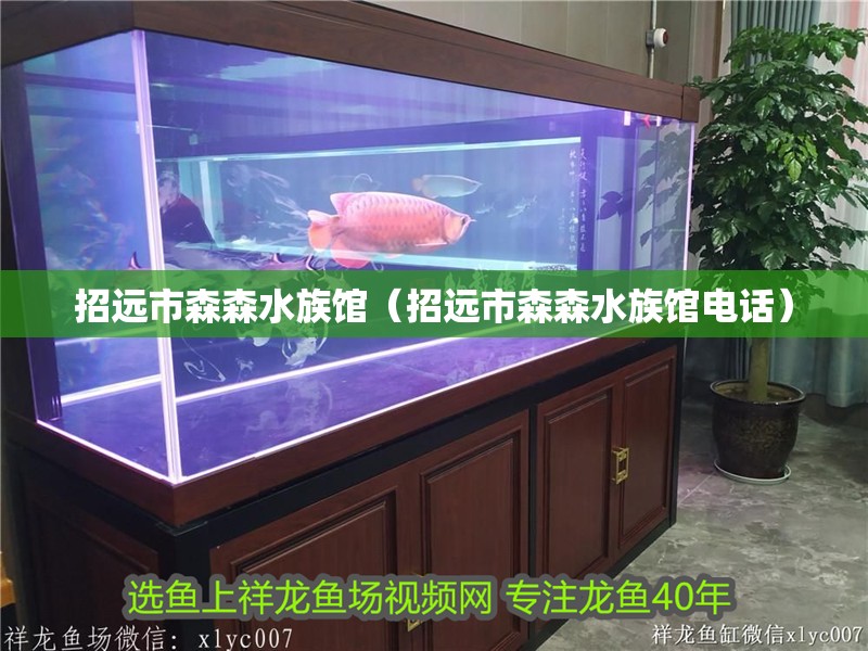 招遠市森森水族館（招遠市森森水族館電話）