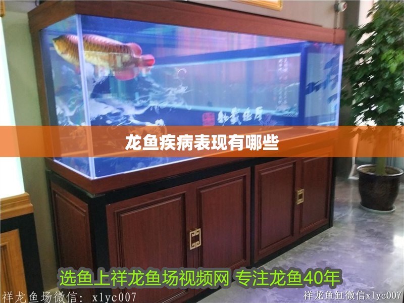 龍魚疾病表現(xiàn)有哪些