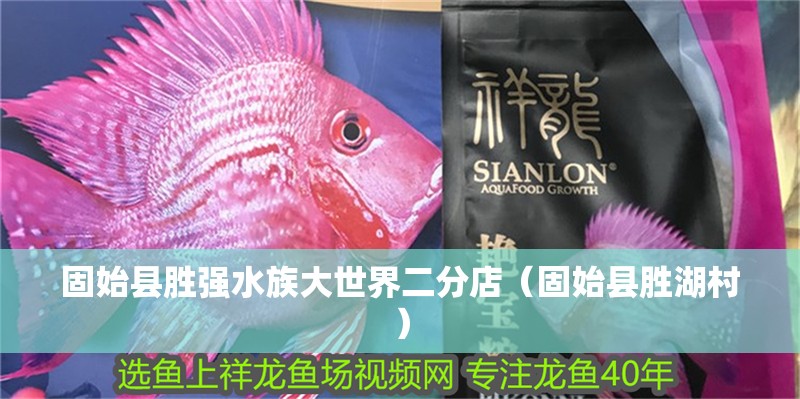 固始縣勝強水族大世界二分店（固始縣勝湖村）