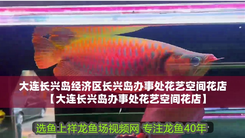 魚缸造景先放沙還是先放水(魚缸造景先鋪沙還是先放石頭) 大連長興島經濟區長興島辦事處花藝空間花店【大連長興島辦事處花藝空間花店】 全國水族館企業名錄 大連長興島經濟區長興島辦事處花藝空間花店【大連長興島辦事處花藝空間花店】 大連長興島經濟區長興島辦事處花藝空間花店【大連長興島辦事處花藝空間花店】 全國水族館企業名錄