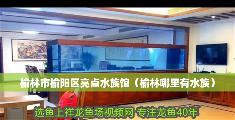 榆林市榆陽區亮點水族館（榆林哪里有水族） 榆林市榆陽區亮點水族館（榆林哪里有水族） 全國水族館企業名錄 第2張