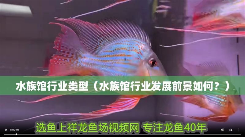 水族館行業(yè)類型（水族館行業(yè)發(fā)展前景如何？）