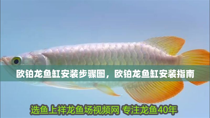 歐鉑龍魚缸安裝步驟圖，歐鉑龍魚缸安裝指南