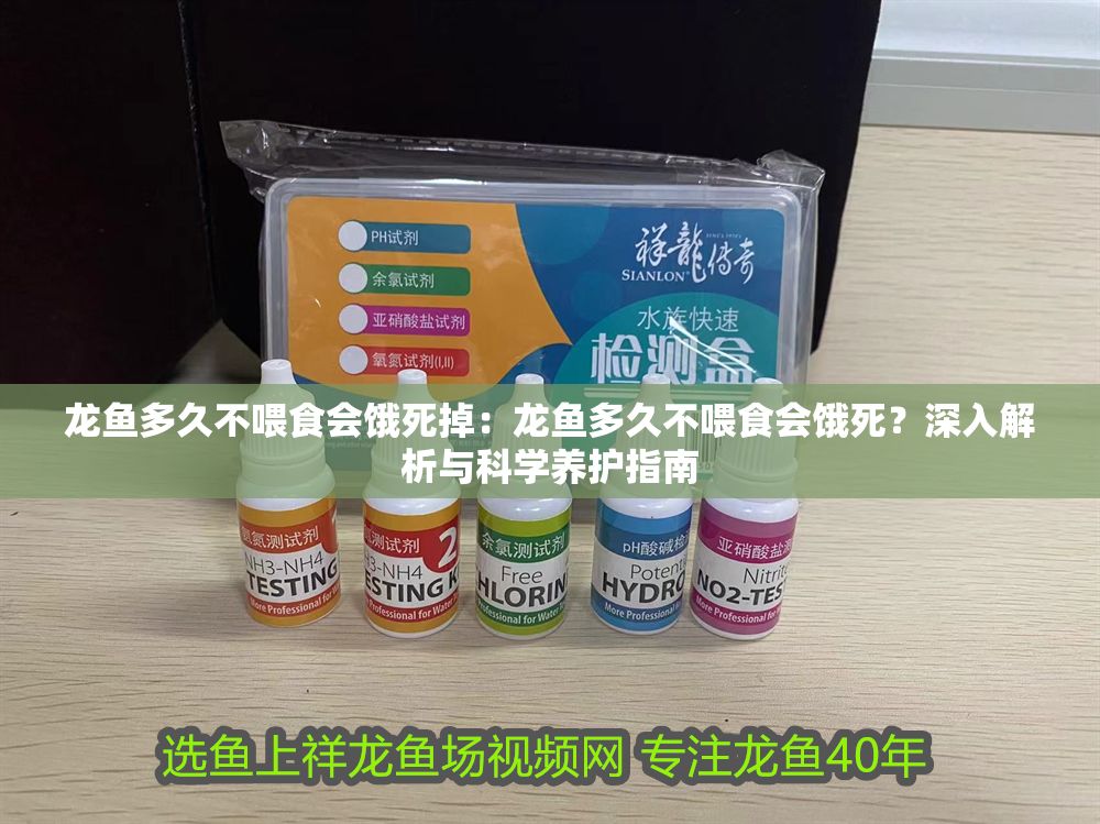 龍魚多久不喂食會餓死掉：龍魚多久不喂食會餓死？深入解析與科學(xué)養(yǎng)護(hù)指南