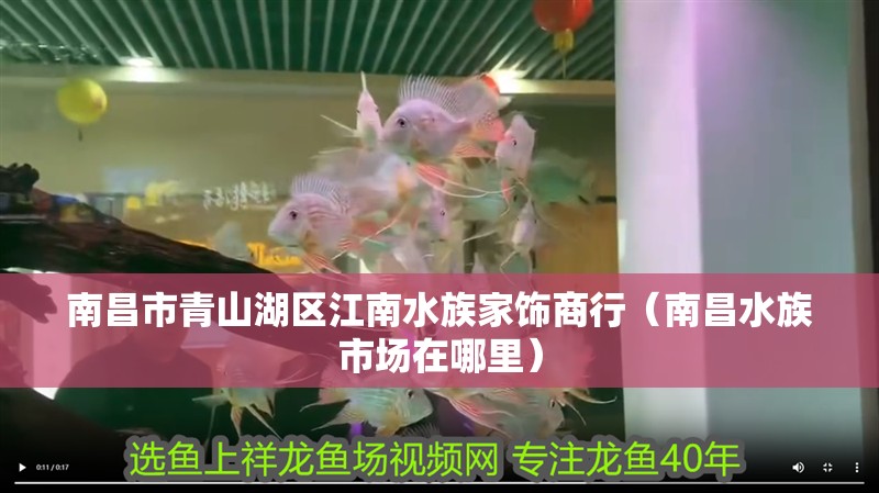 南昌市青山湖區江南水族家飾商行（南昌水族市場在哪里）