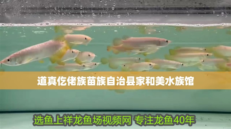 道真仡佬族苗族自治縣家和美水族館 全國水族館企業名錄 第2張 道真仡佬族苗族自治縣家和美水族館 道真仡佬族苗族自治縣家和美水族館 全國水族館企業名錄 第2張