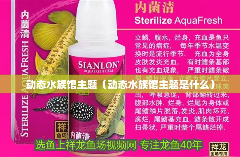 動態水族館主題（動態水族館主題是什么）