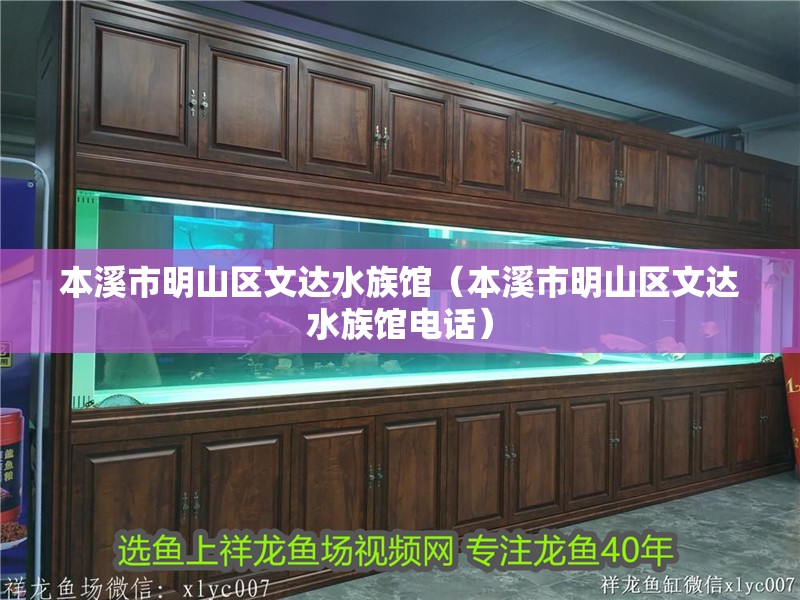 本溪市明山區文達水族館（本溪市明山區文達水族館電話）