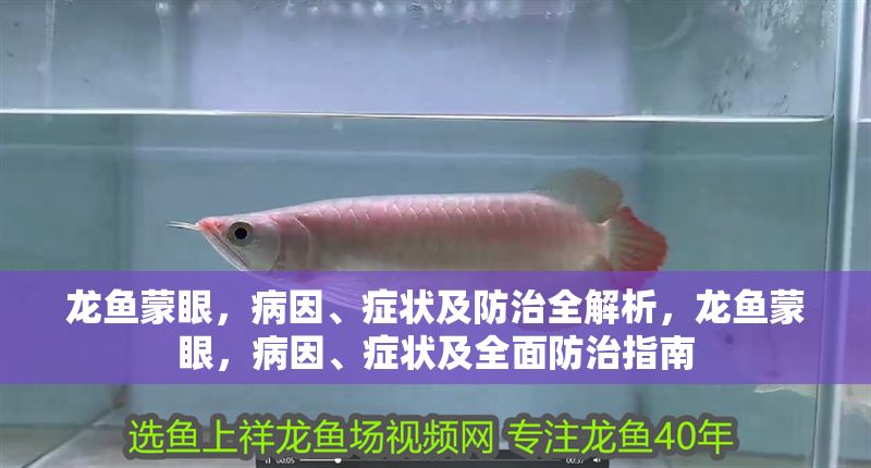 龍魚蒙眼，病因、癥狀及防治全解析，龍魚蒙眼，病因、癥狀及全面防治指南