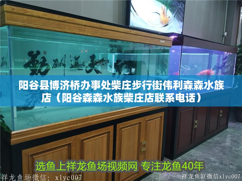 陽谷縣博濟橋辦事處柴莊步行街偉利森森水族店（陽谷森森水族柴莊店聯系電話） 陽谷縣博濟橋辦事處柴莊步行街偉利森森水族店（陽谷森森水族柴莊店聯系電話） 全國水族館企業名錄 第2張