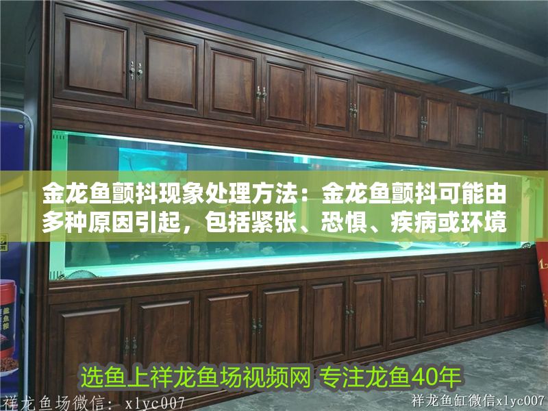 龍魚麻醉用什么藥？安全有效的麻醉方法詳解，龍魚麻醉安全用藥指南及有效方法詳解