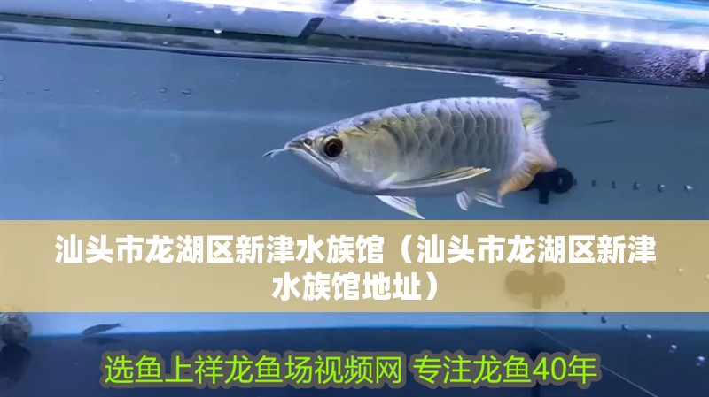 汕頭市龍湖區新津水族館（汕頭市龍湖區新津水族館地址）