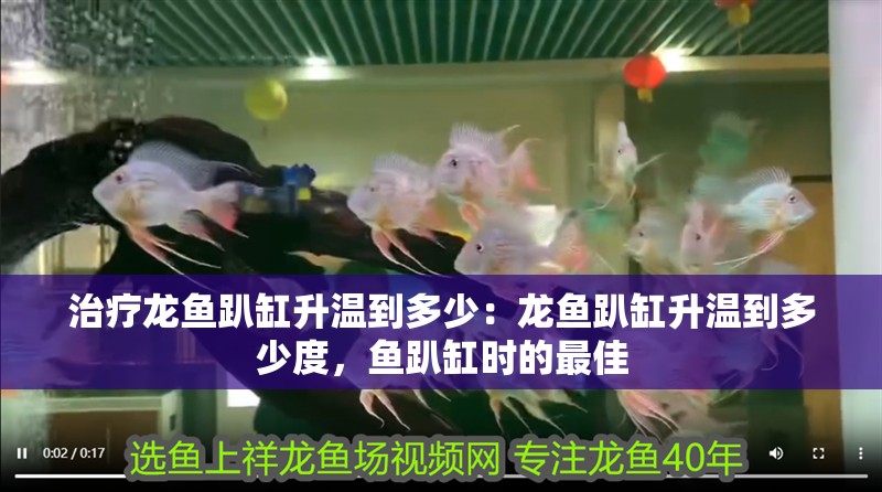 治療龍魚趴缸升溫到多少：龍魚趴缸升溫到多少度，魚趴缸時的最佳