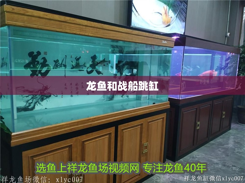 龍魚和戰船跳缸