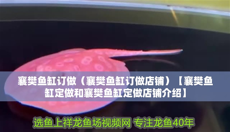襄樊魚缸訂做（襄樊魚缸訂做店鋪）【襄樊魚缸定做和襄樊魚缸定做店鋪介紹】