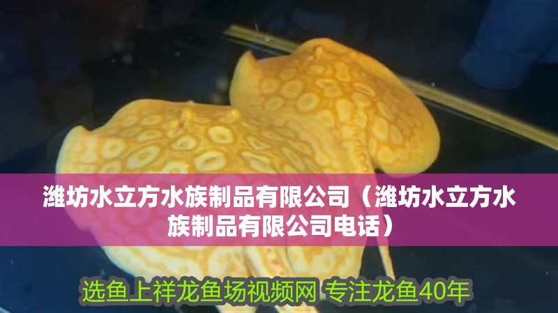 濰坊水立方水族制品有限公司（濰坊水立方水族制品有限公司電話） 濰坊水立方水族制品有限公司（濰坊水立方水族制品有限公司電話） 全國水族館企業名錄 第2張