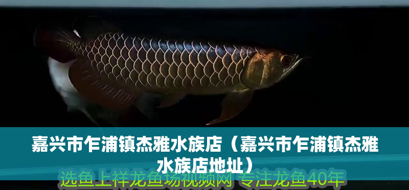 嘉興市乍浦鎮杰雅水族店（嘉興市乍浦鎮杰雅水族店地址）