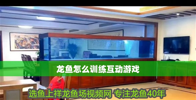 龍魚怎么訓練互動游戲