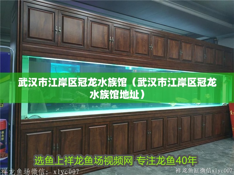 武漢市江岸區冠龍水族館（武漢市江岸區冠龍水族館地址）