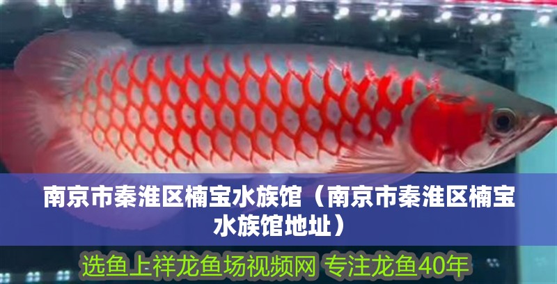 南京市秦淮區楠寶水族館(南京市秦淮區楠寶水族館地址) 全國水族館企業名錄 第2張 南京市秦淮區楠寶水族館(南京市秦淮區楠寶水族館地址) 南京市秦淮區楠寶水族館(南京市秦淮區楠寶水族館地址) 全國水族館企業名錄 第2張