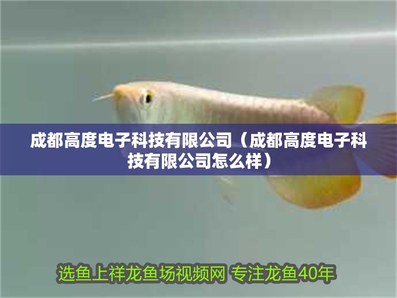 成都高度電子科技有限公司（成都高度電子科技有限公司怎么樣） 成都高度電子科技有限公司（成都高度電子科技有限公司怎么樣） 全國水族館企業名錄 第2張