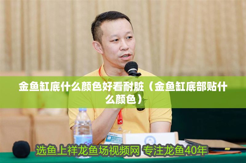 金魚缸底什么顏色好看耐臟（金魚缸底部貼什么顏色）