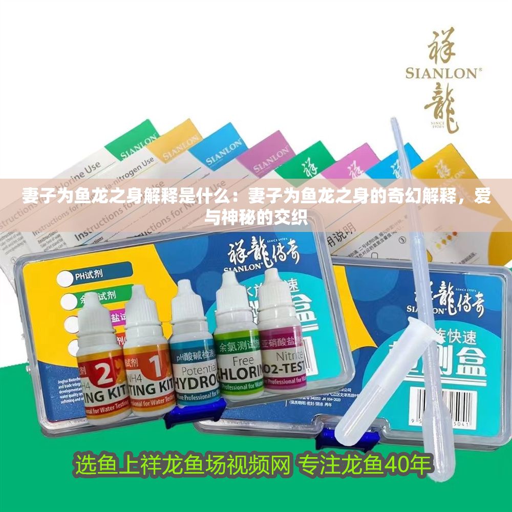 妻子為魚龍之身解釋是什么：妻子為魚龍之身的奇幻解釋，愛與神秘的交織
