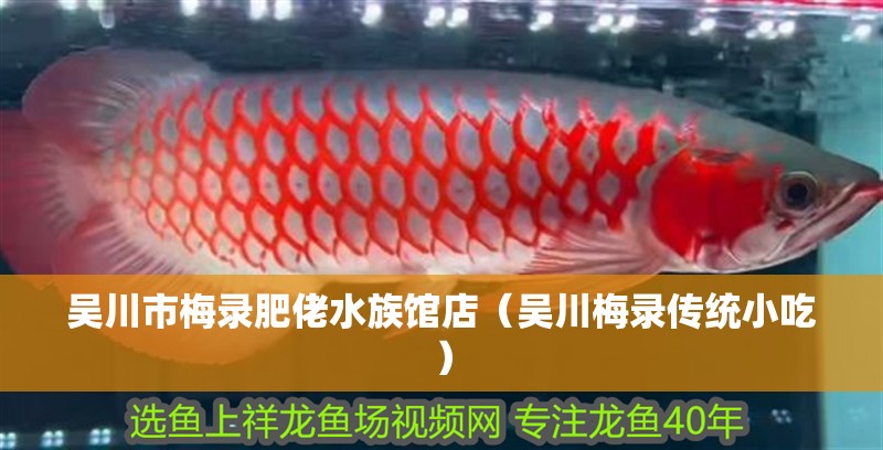 吳川市梅錄肥佬水族館店（吳川梅錄傳統小吃）