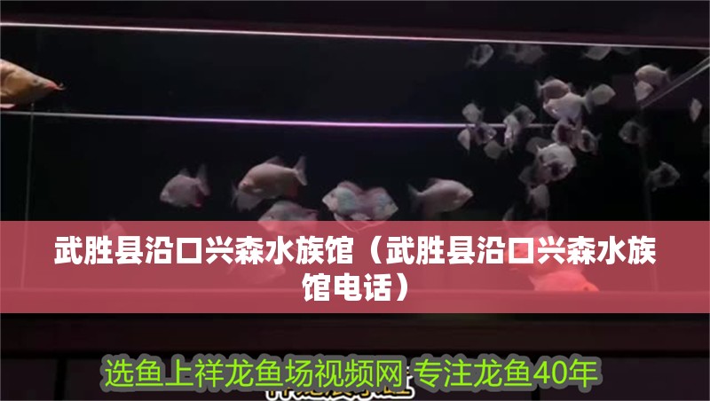 武勝縣沿口興森水族館（武勝縣沿口興森水族館電話）