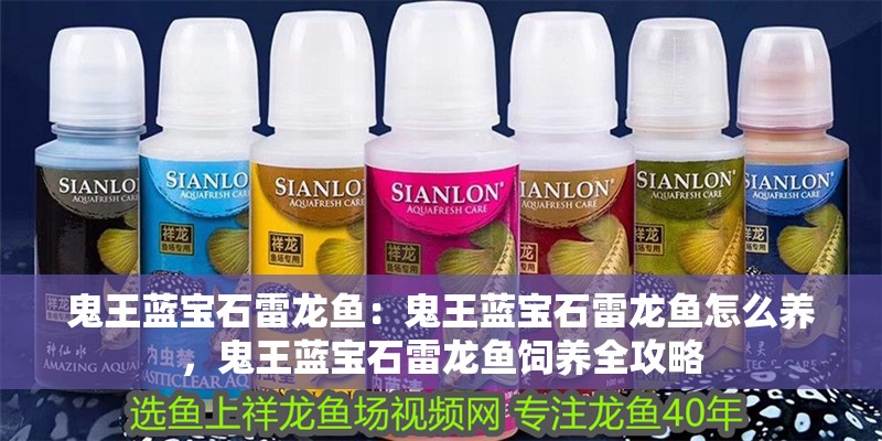 鬼王藍寶石雷龍魚：鬼王藍寶石雷龍魚怎么養，鬼王藍寶石雷龍魚飼養全攻略