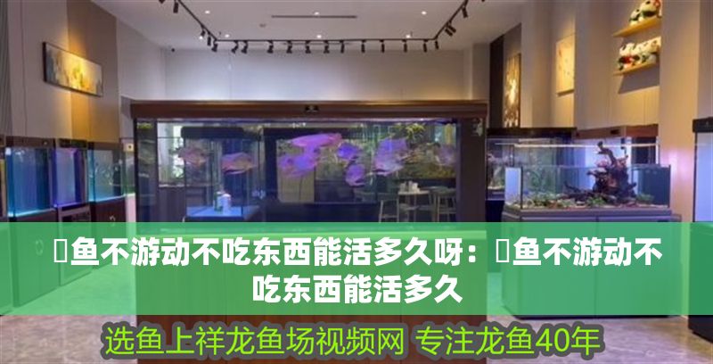 魟魚不游動不吃東西能活多久呀：魟魚不游動不吃東西能活多久 魟魚不游動不吃東西能活多久呀：魟魚不游動不吃東西能活多久 魟魚百科 第2張