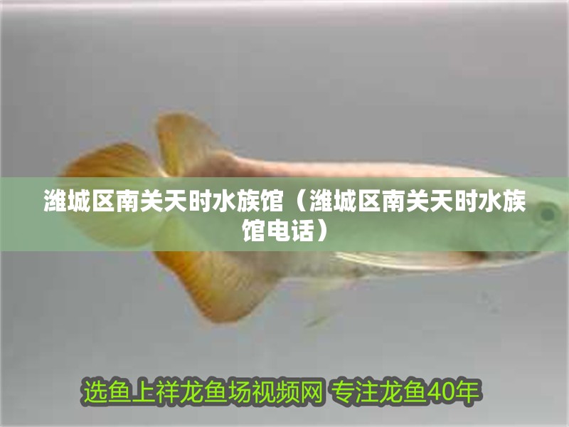 濰城區(qū)南關(guān)天時(shí)水族館（濰城區(qū)南關(guān)天時(shí)水族館電話）