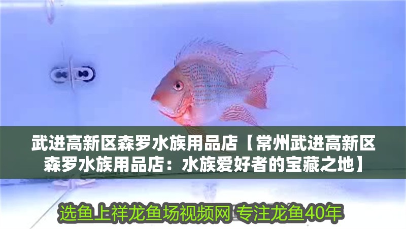 武進(jìn)高新區(qū)森羅水族用品店【常州武進(jìn)高新區(qū)森羅水族用品店：水族愛好者的寶藏之地】